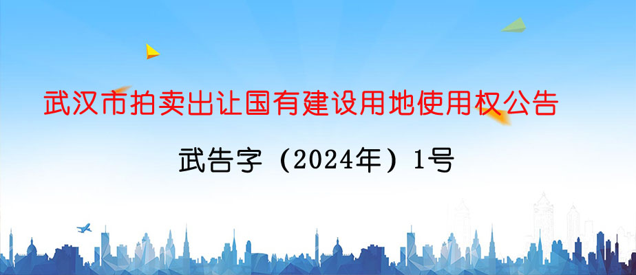 武汉市拍卖出让国有建设用地使用权公告武告字（2024年）1号