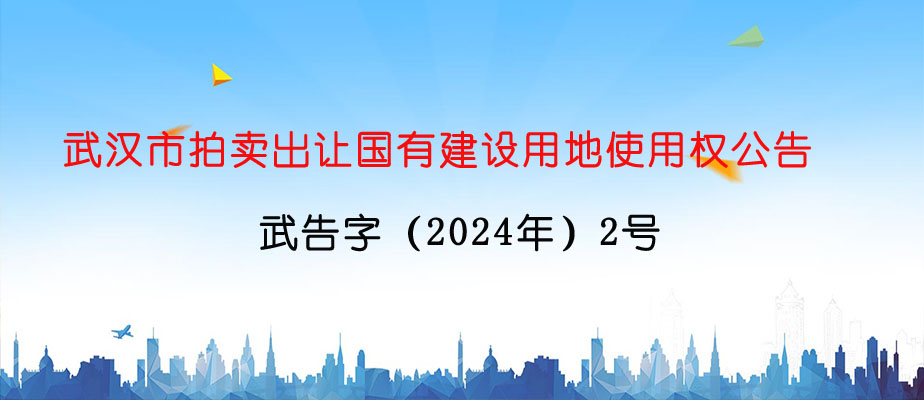 武汉市拍卖出让国有建设用地使用权公告武告字（2024年）2号