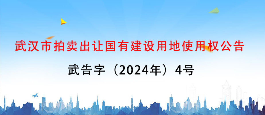 武汉市拍卖出让国有建设用地使用权公告 武告字（2024年）4号