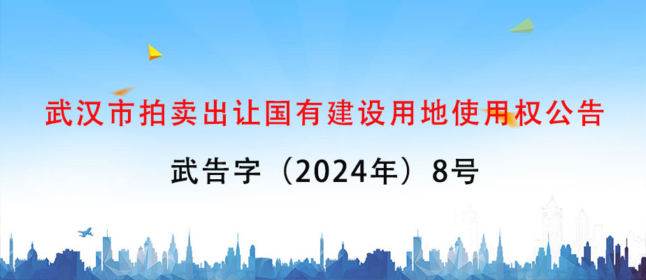  武汉市拍卖出让国有建设用地使用权公告 武告字（2024年）8号