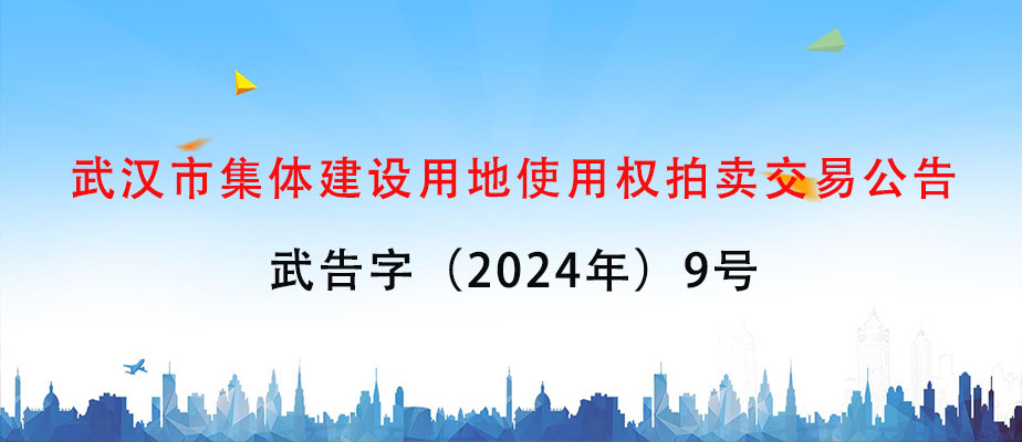 武汉市集体建设用地使用权拍卖交易公告 武告字（2024年）9号