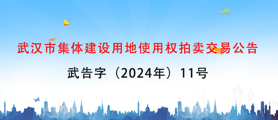 武汉市集体建设用地使用权拍卖交易公告 武告字（2024年）11号